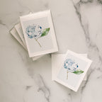 Hydrangea Greeting Card - Caroline Calligraphie