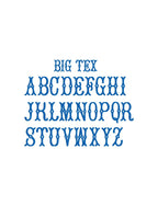 Go Texan Day Bandanas! - Caroline Calligraphie