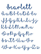 Go Texan Day Bandanas! - Caroline Calligraphie