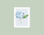 Hydrangea Greeting Card