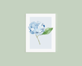 Hydrangea Greeting Card - Caroline Calligraphie